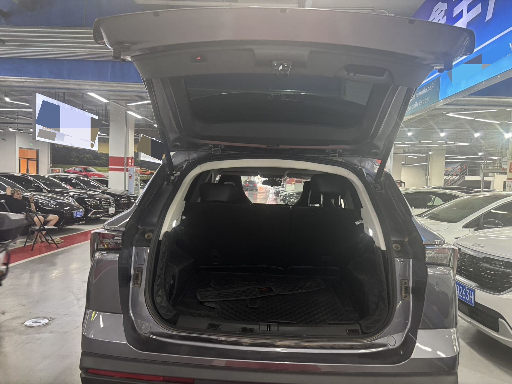JETOUR 2024 Dasheng 1.5T Xingyao PRO