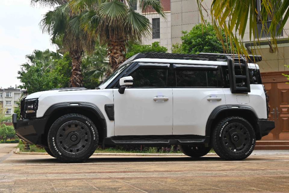 JETOUR 2024 Traveler 2.0T 4WD Silver Dragon Wings