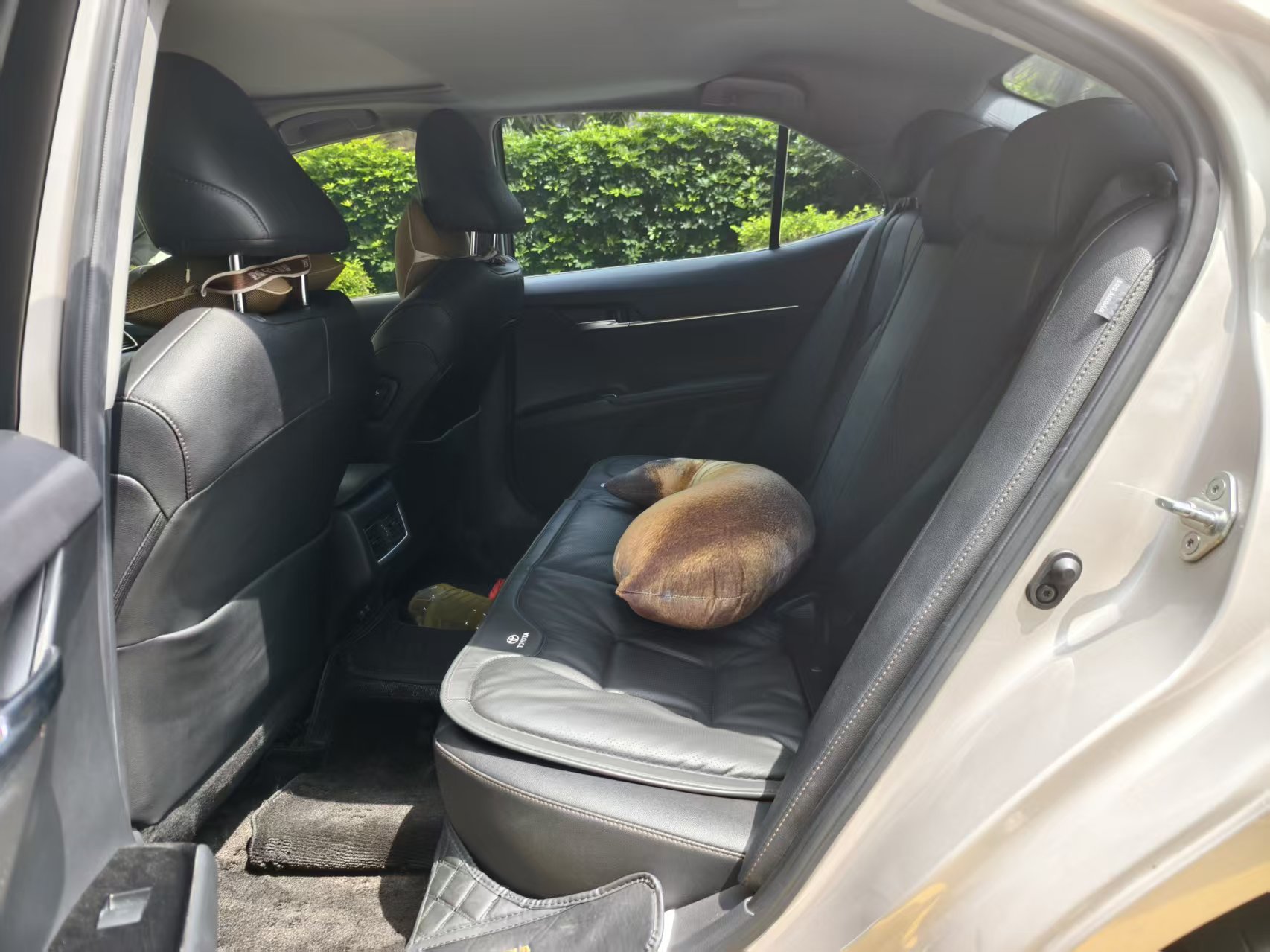 Toyota 2021 Camry 2.0G CVT Luxury Edition