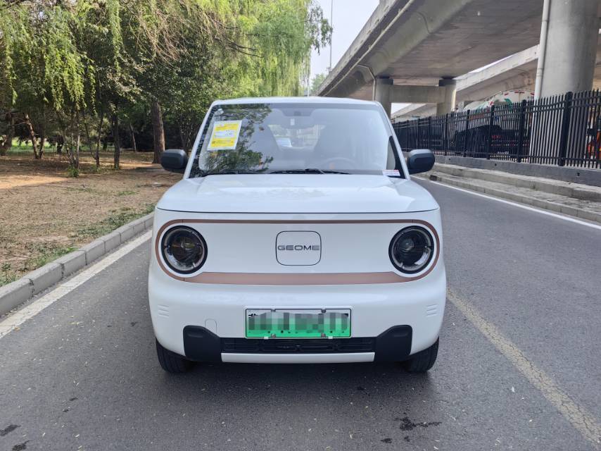 Geely 2024 Panda Mini 200km Endurance Bear