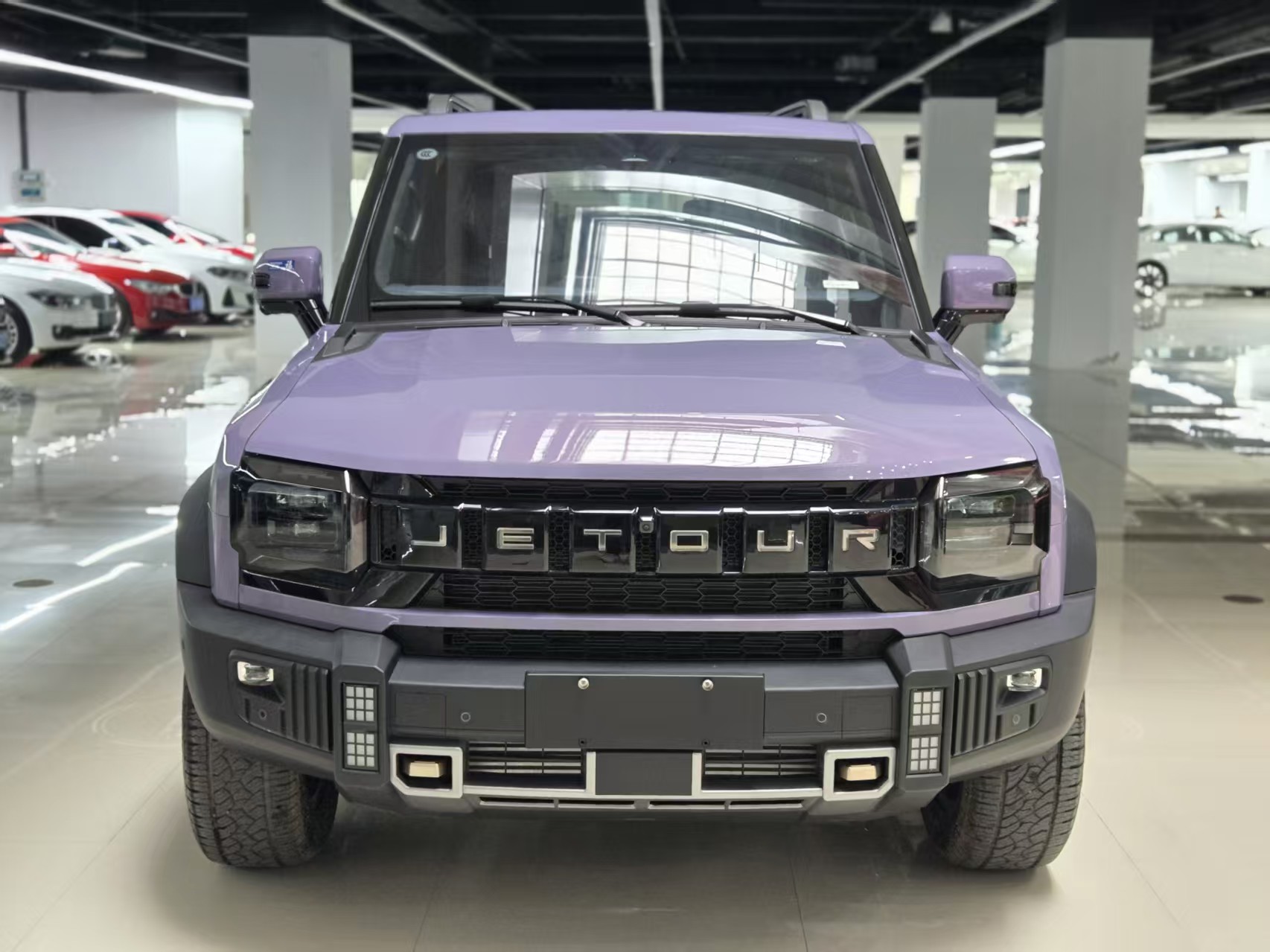 JETOUR 2025 Traveler 2.0T 4WD Star Moon Goddess