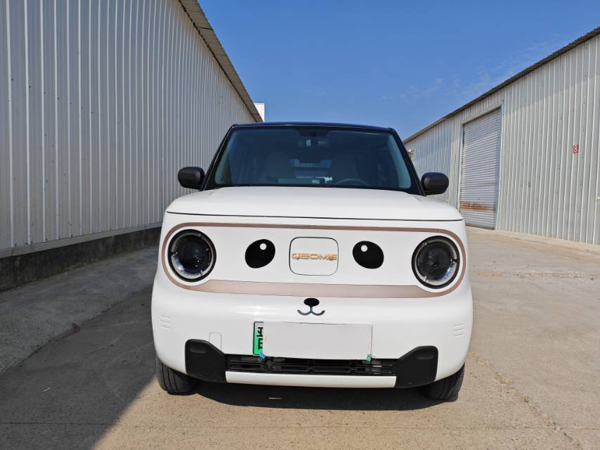 Geely 2023 Panda MINI 200km Lingdong Xiong