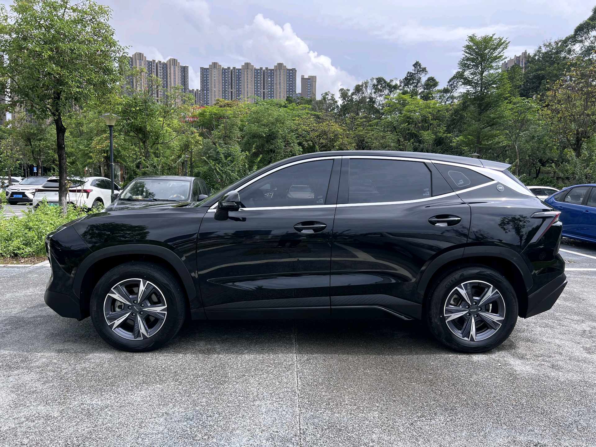 JETOUR 2024 Dasheng 1.5T Xingyao PRO
