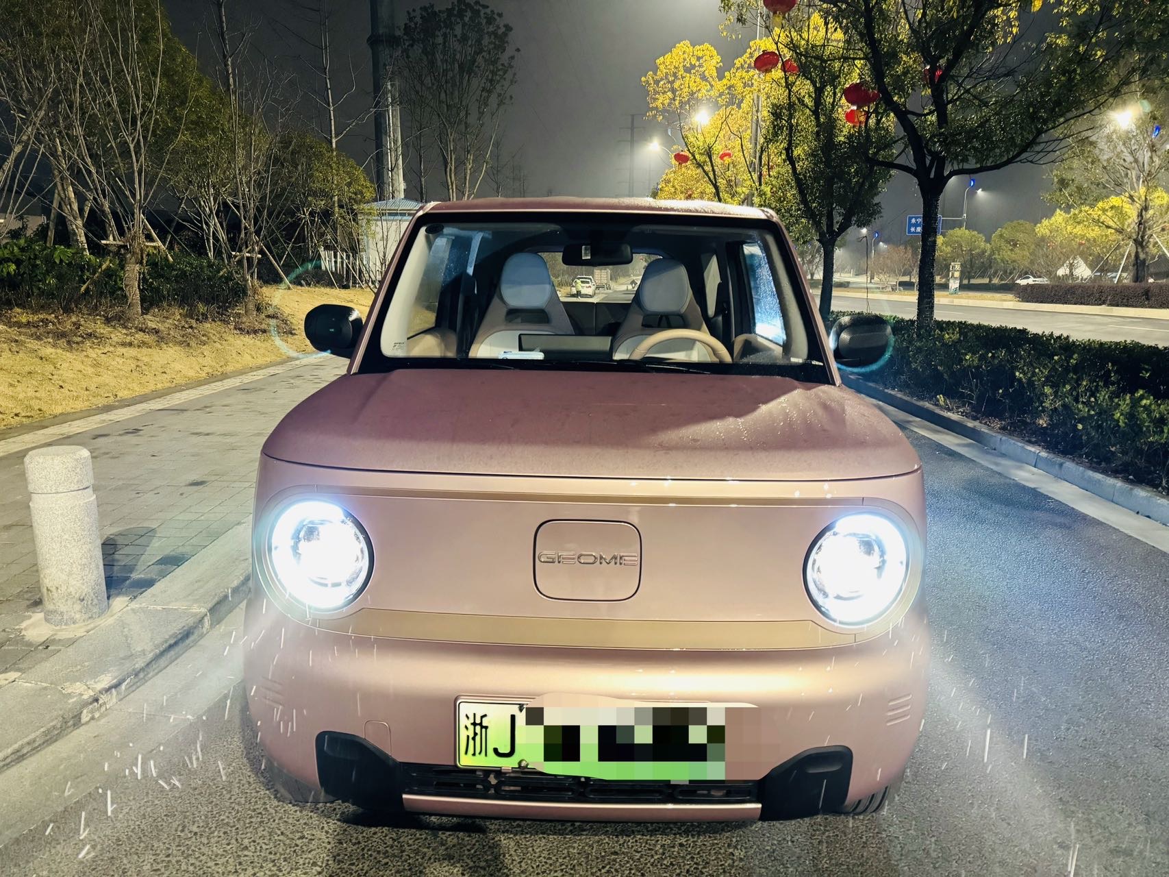 Geely 2023 Panda MINI New Year Edition Treasure Bear