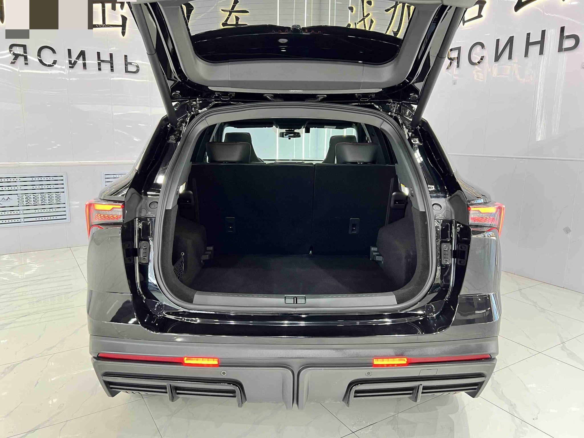 JETOUR 2023 Dasheng 1.5T Xingyao PRO