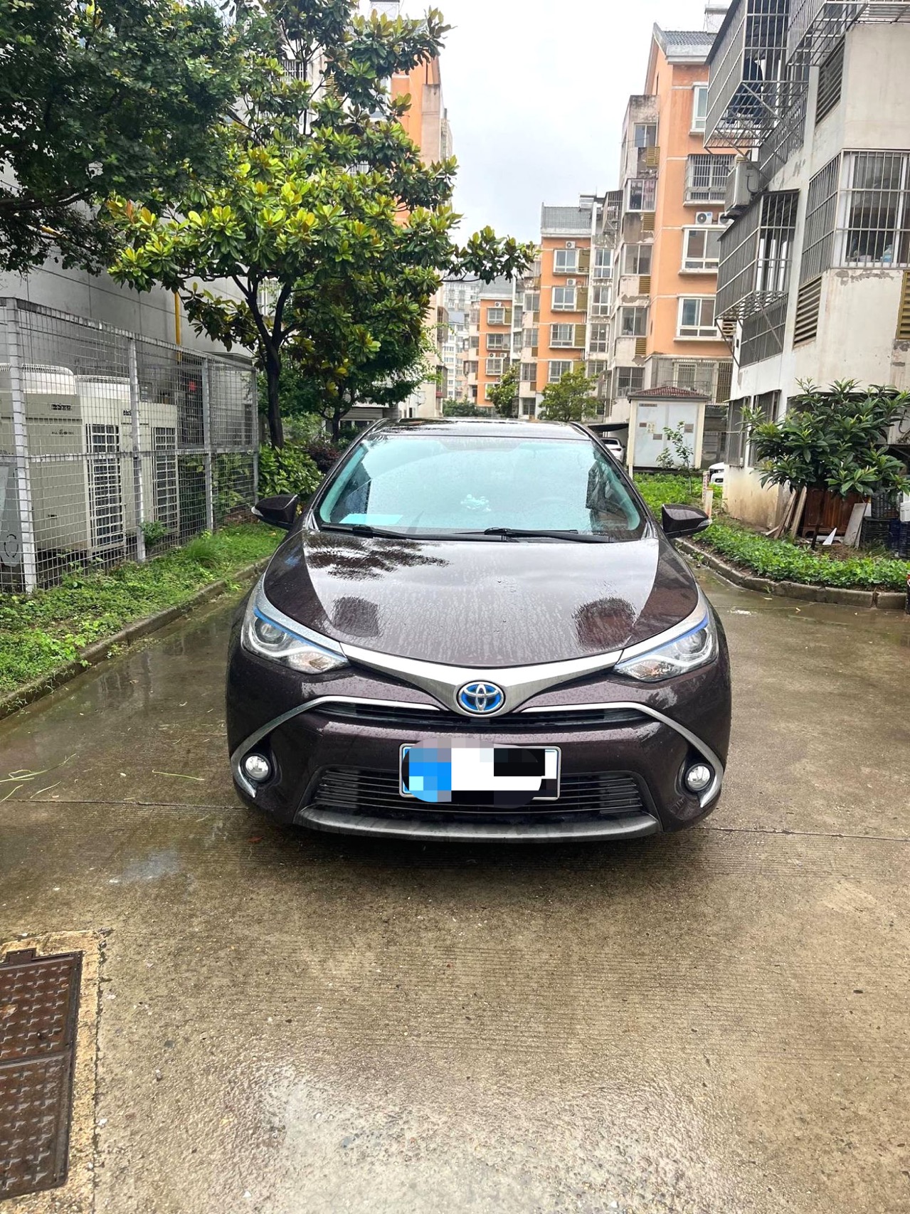 Toyota 2016 Levin Twin Engine 1.8H CVT GS Elite Sunroof Edition