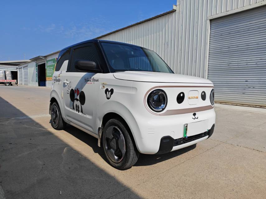 Geely 2023 Panda MINI 200km Lingdong Xiong