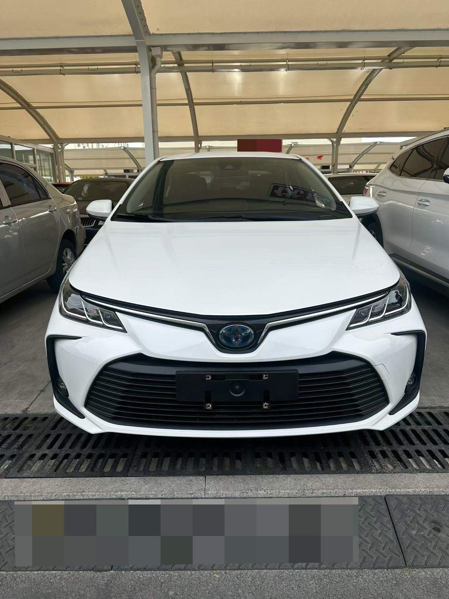 Toyota 2019 Corolla Hybrid 1.8 CVT GL-i Pioneer Edition