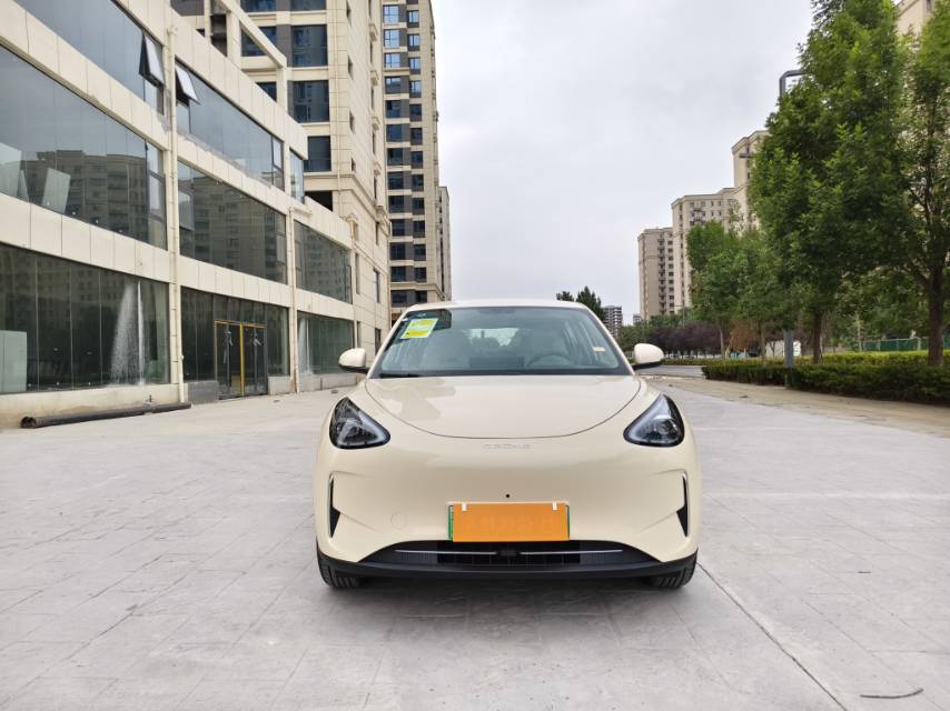 Geely 2024 Xingyuan 310km Dream Edition