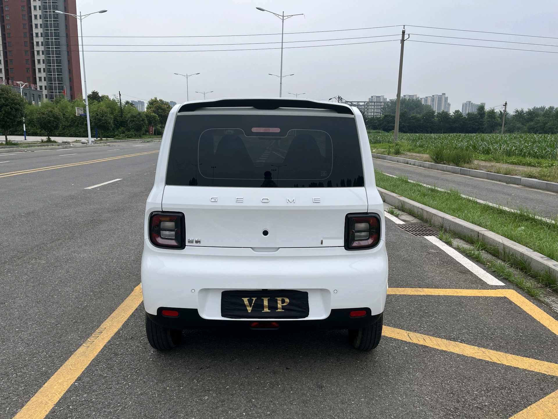 Geely 2025 Panda Mini 210km Yuanqi Xiong