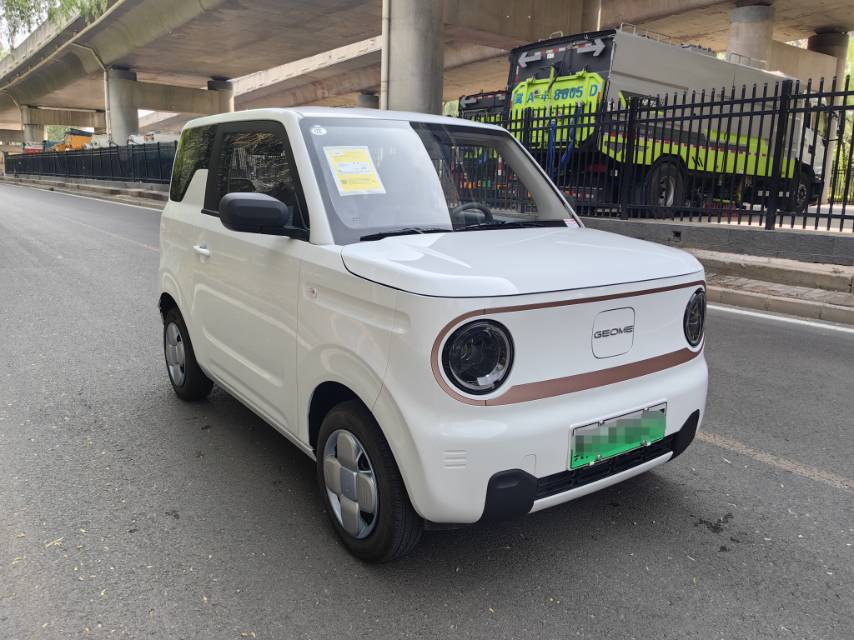 Geely 2024 Panda Mini 200km Endurance Bear
