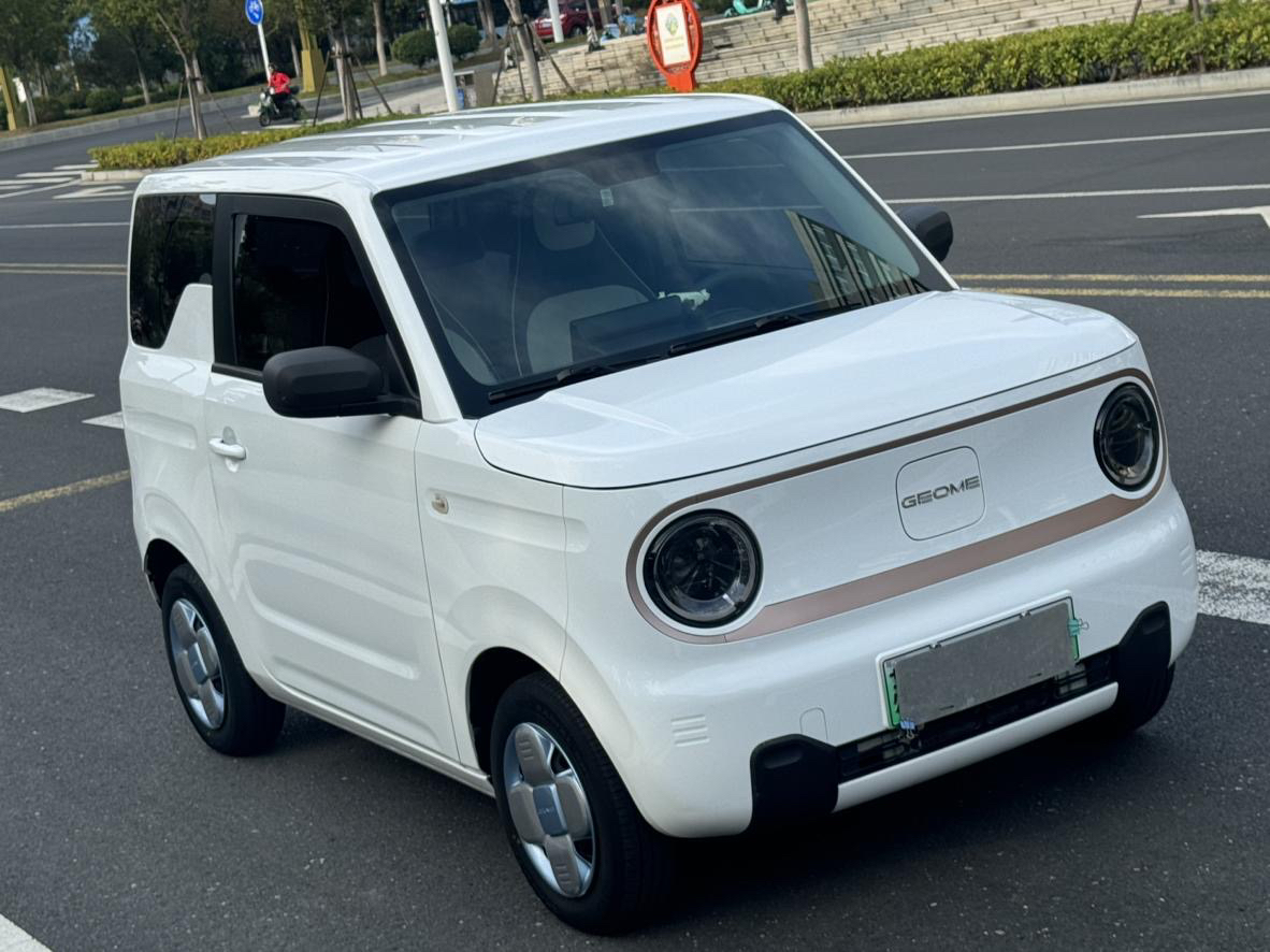 Geely 2023 Panda Mini 200km Endurance Bear