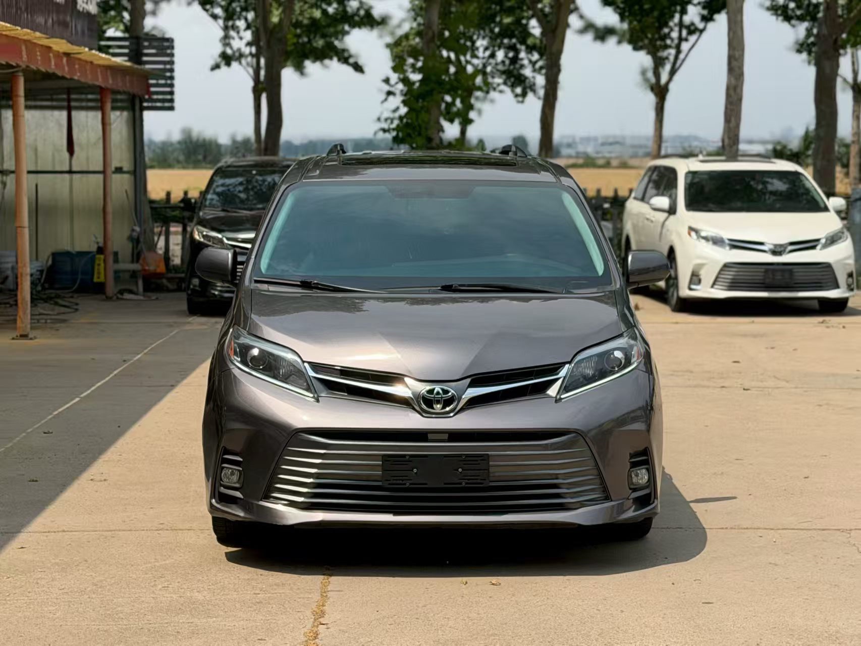 丰田 赛那(进口) 2019款 塞纳 3.5 XLE Mobility Auto Access 两驱7座 美规版
