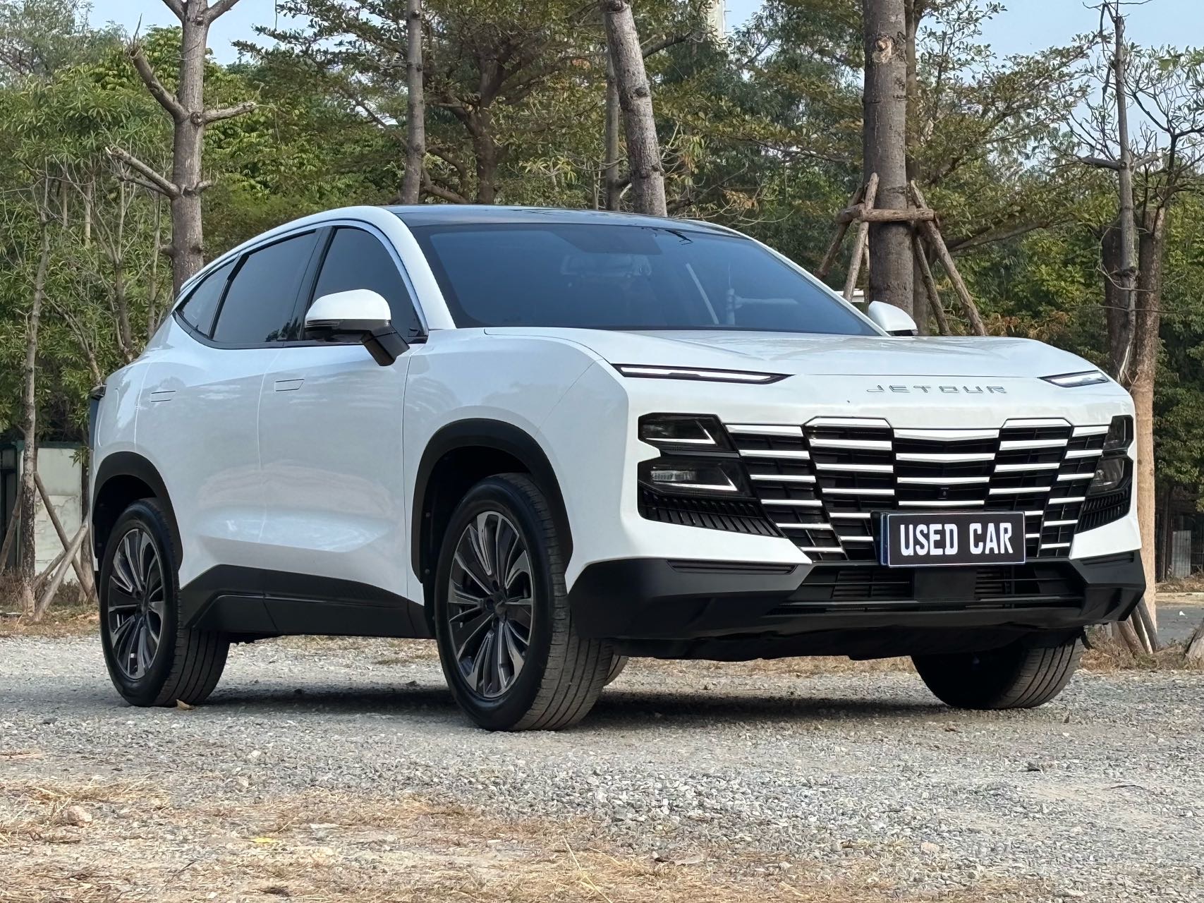 JETOUR 2022 Dasheng 1.6T King PRO