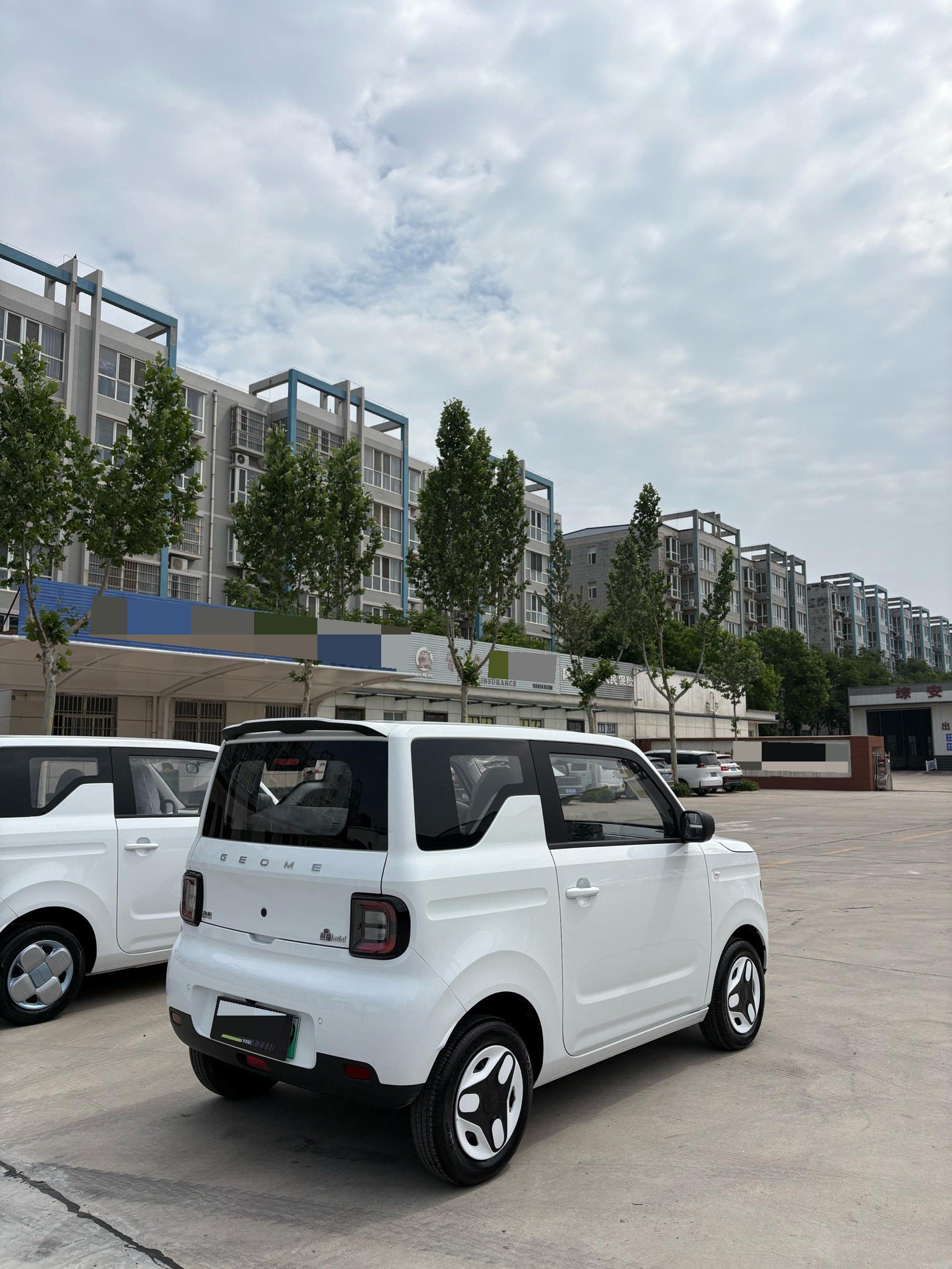 吉利 2025款 熊猫MINI 210km 元气熊