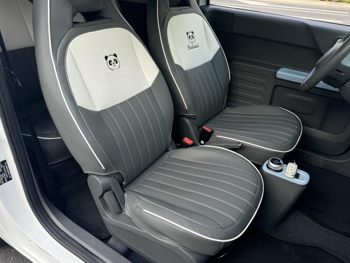 Geely 2023 Panda Mini 200km Endurance Bear