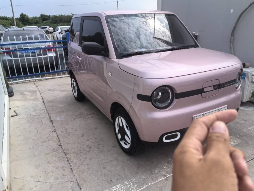 吉利 2025款 熊猫MINI 210km 元气熊