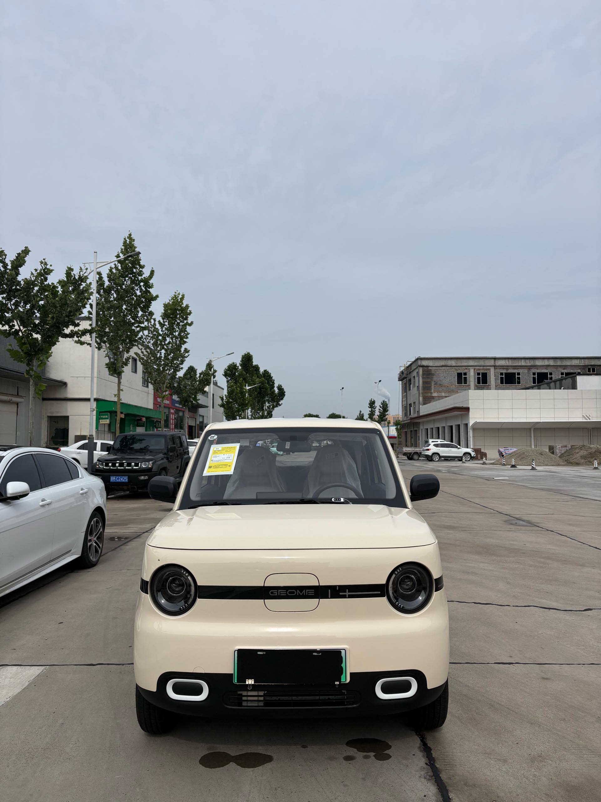 吉利 2025款 熊猫MINI 210km 元气熊