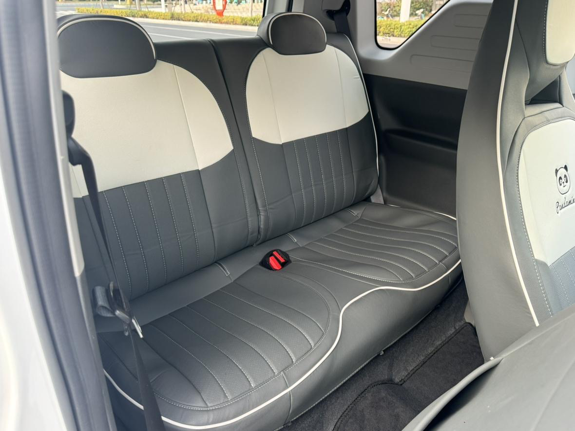 Geely 2023 Panda Mini 200km Endurance Bear