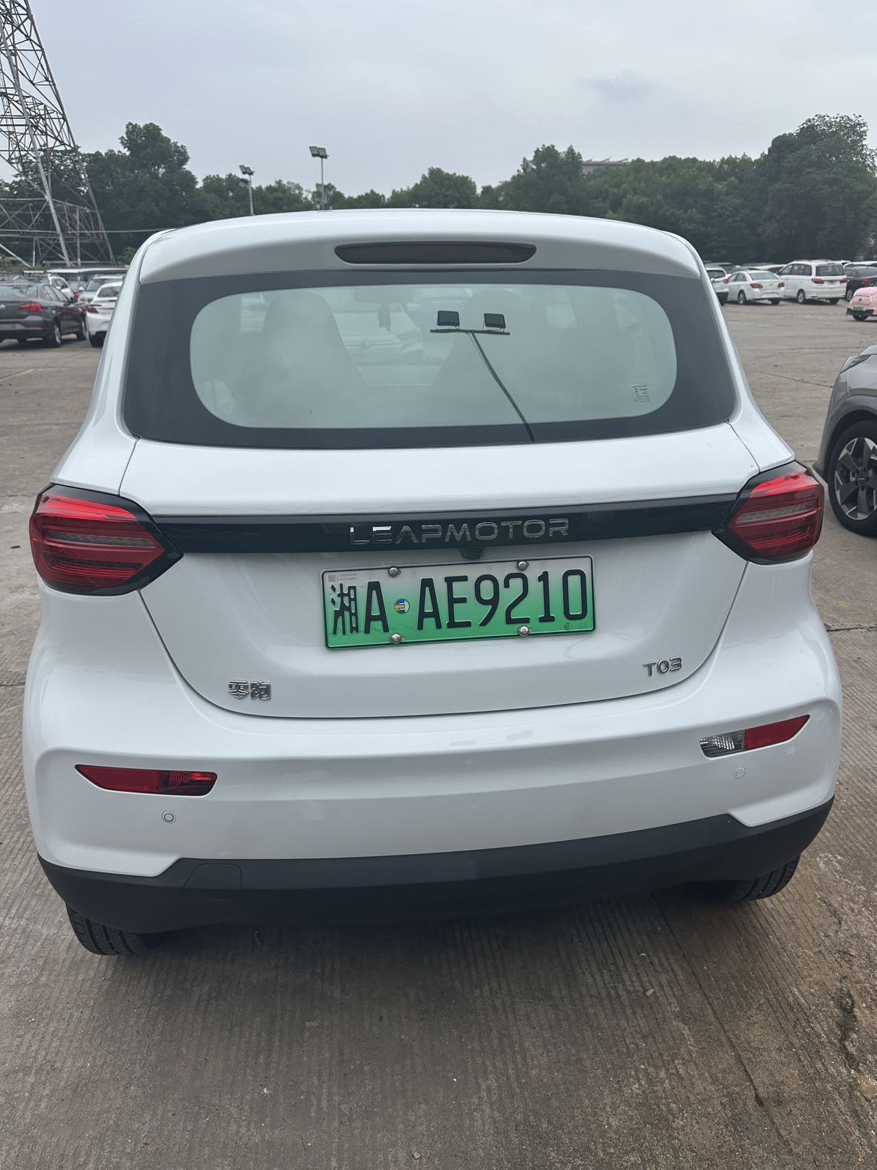 Leapmotor 2023 T03 310 Fenxiang Edition