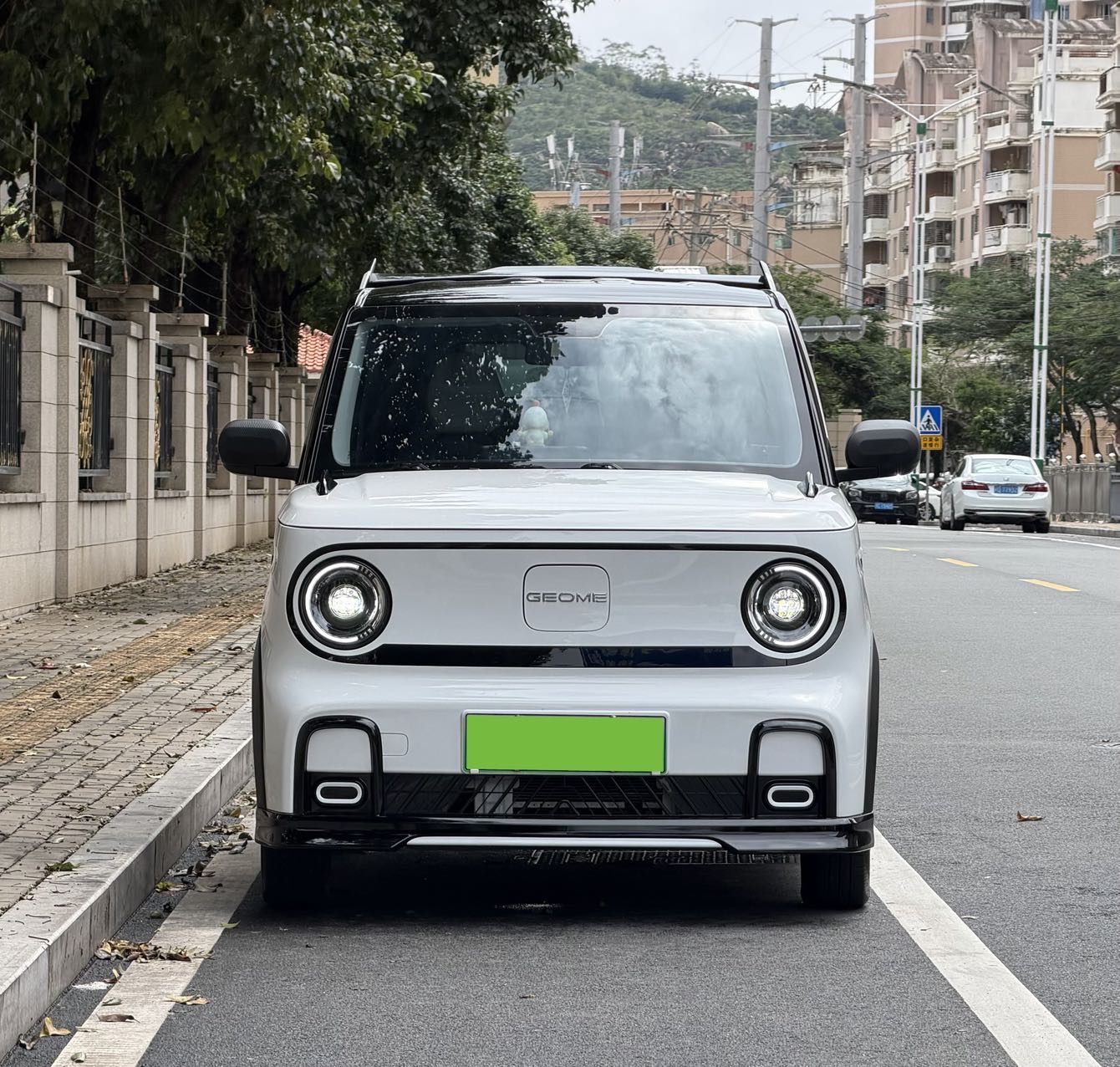 Geely 2025 Panda Mini 210km Panda Karting