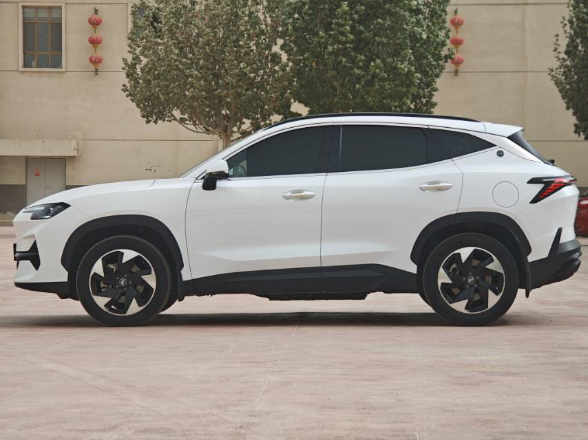 JETOUR 2024 Shanhai L6 1.5TD PRO