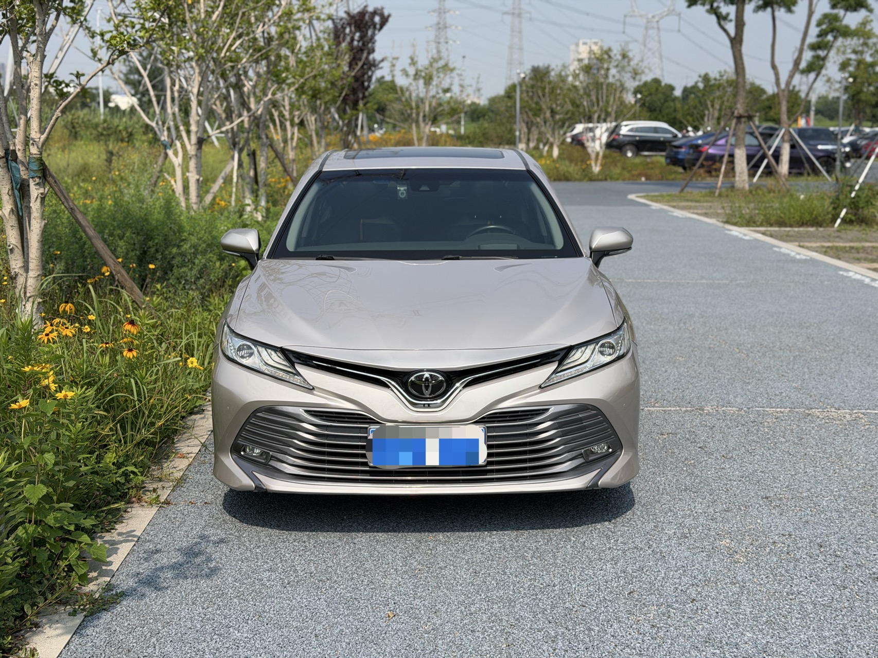 Toyota 2018 Camry 2.0G Luxury