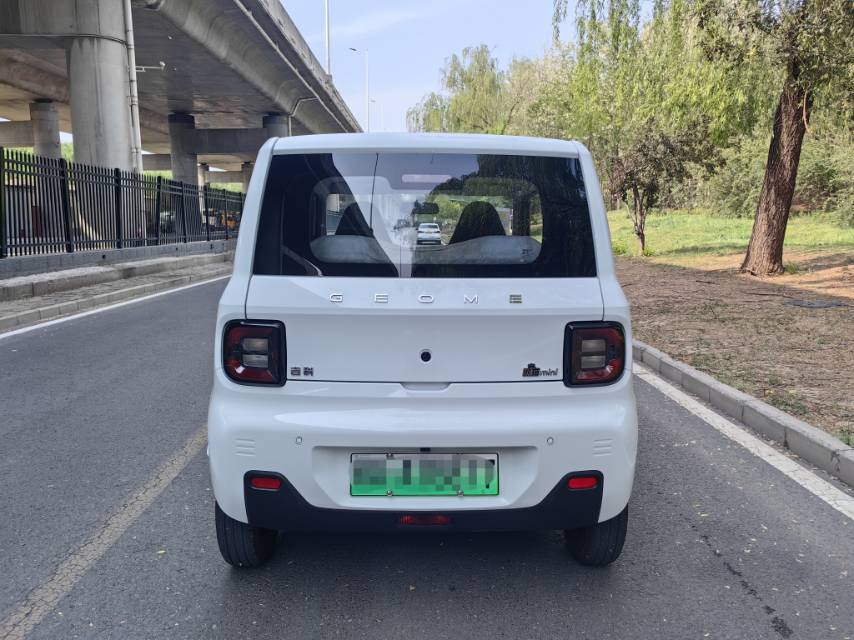 Geely 2024 Panda Mini 200km Endurance Bear