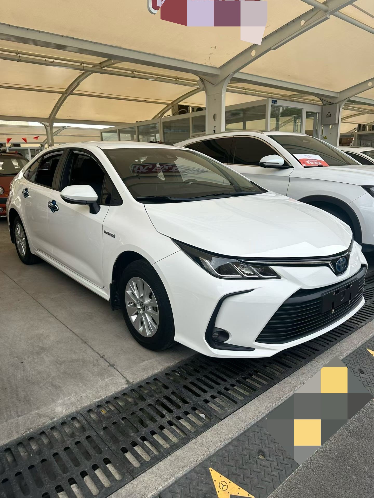 Toyota 2019 Corolla Hybrid 1.8 CVT GL-i Pioneer Edition