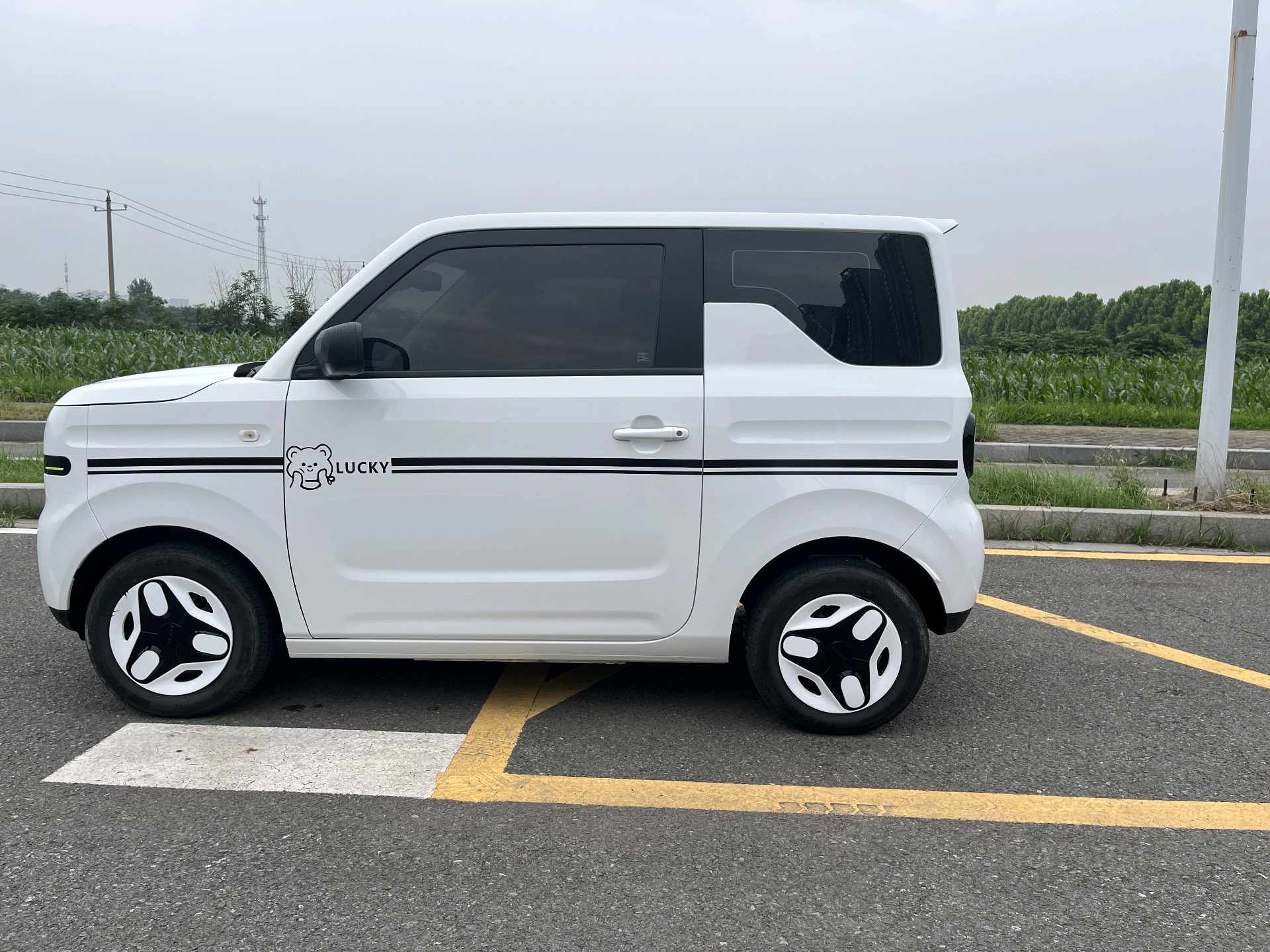 Geely 2025 Panda Mini 210km Yuanqi Xiong