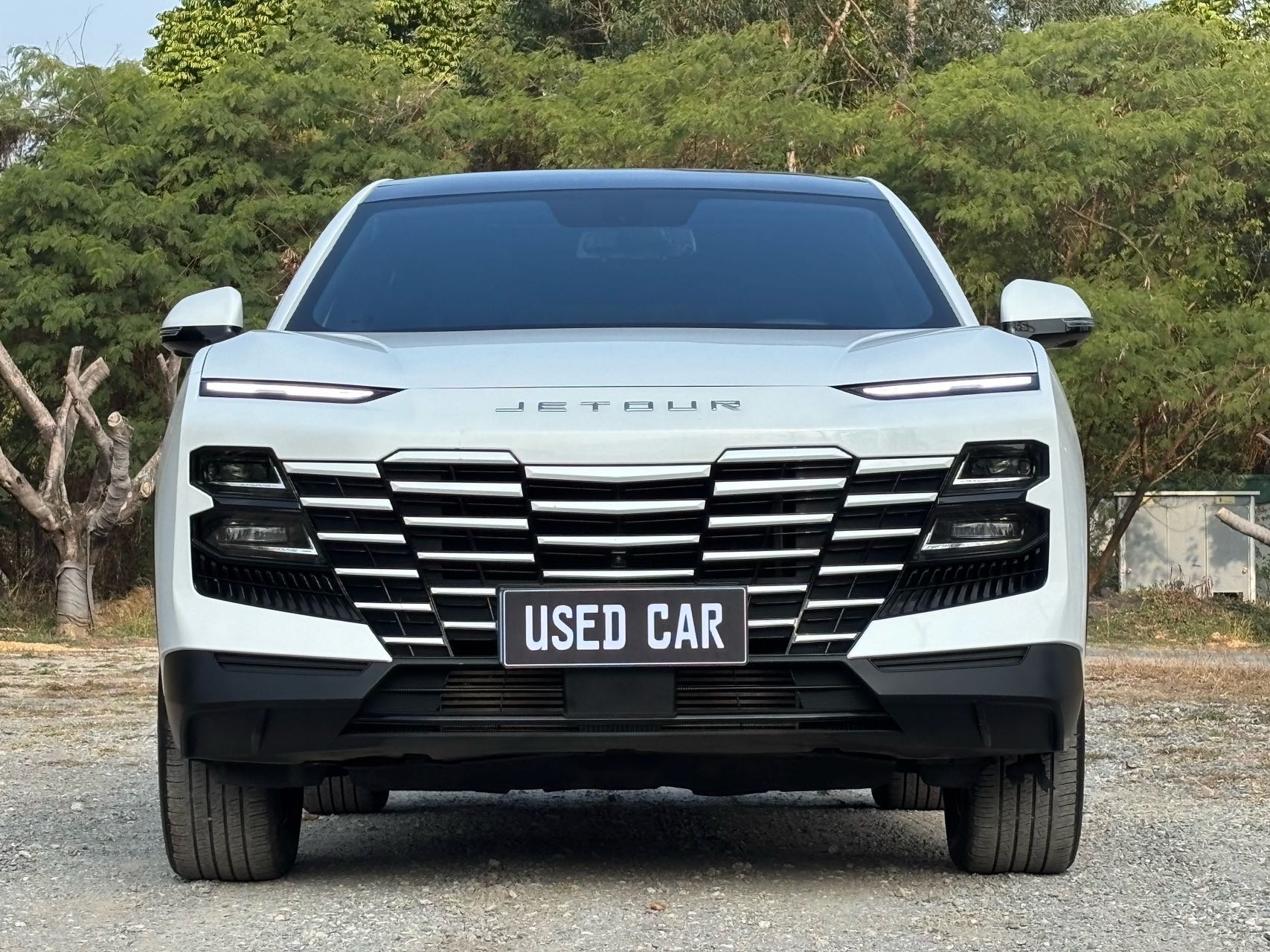 JETOUR 2022 Dasheng 1.6T King PRO