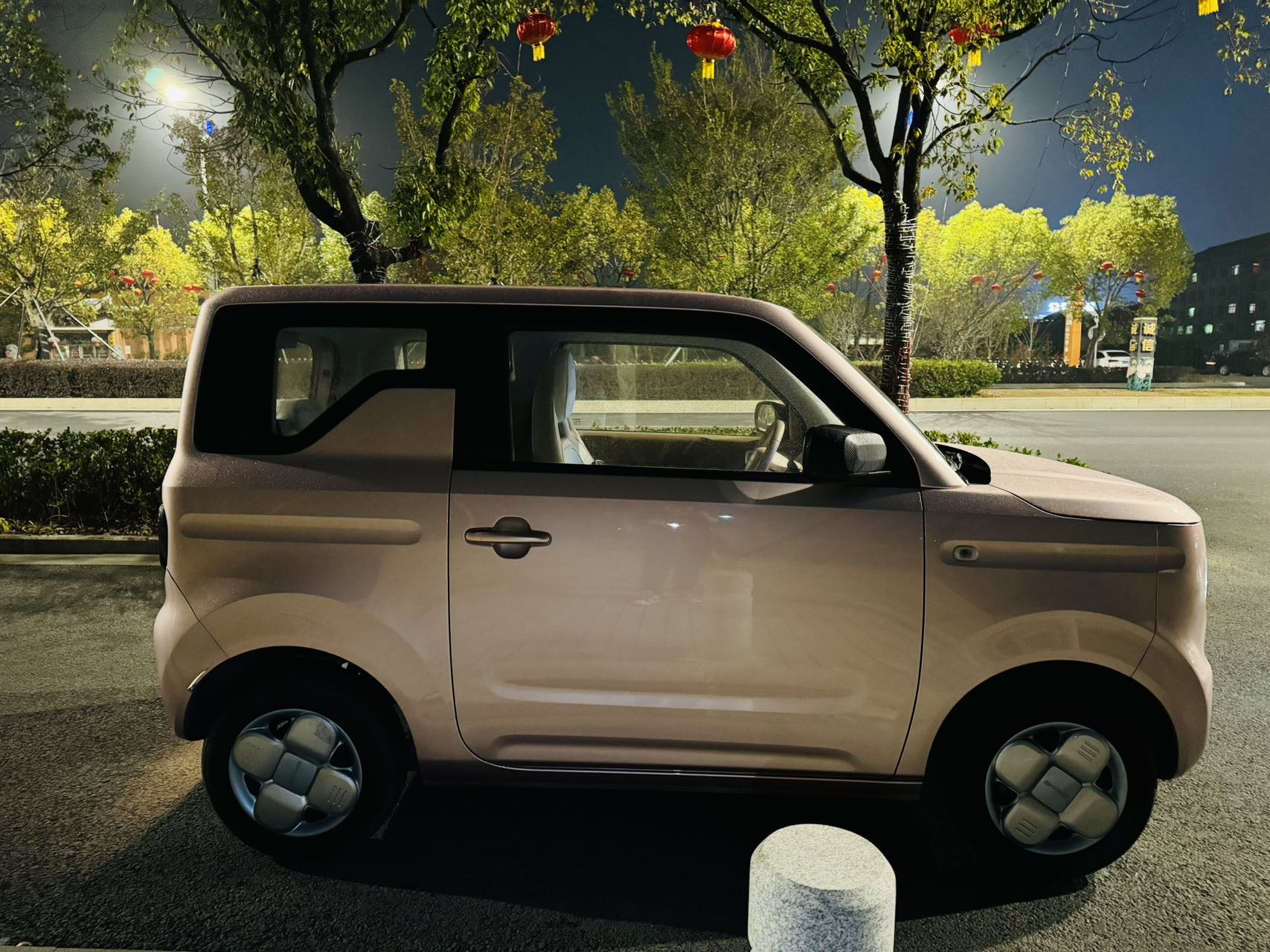 Geely 2023 Panda MINI New Year Edition Treasure Bear
