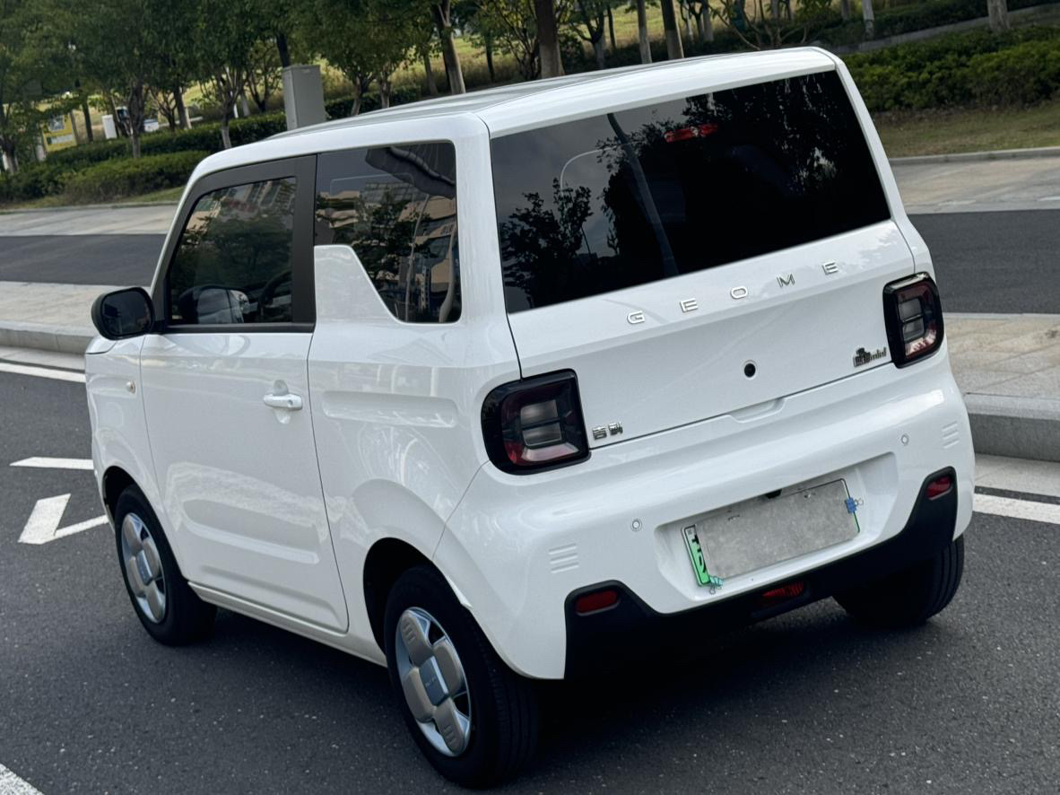 Geely 2023 Panda Mini 200km Endurance Bear
