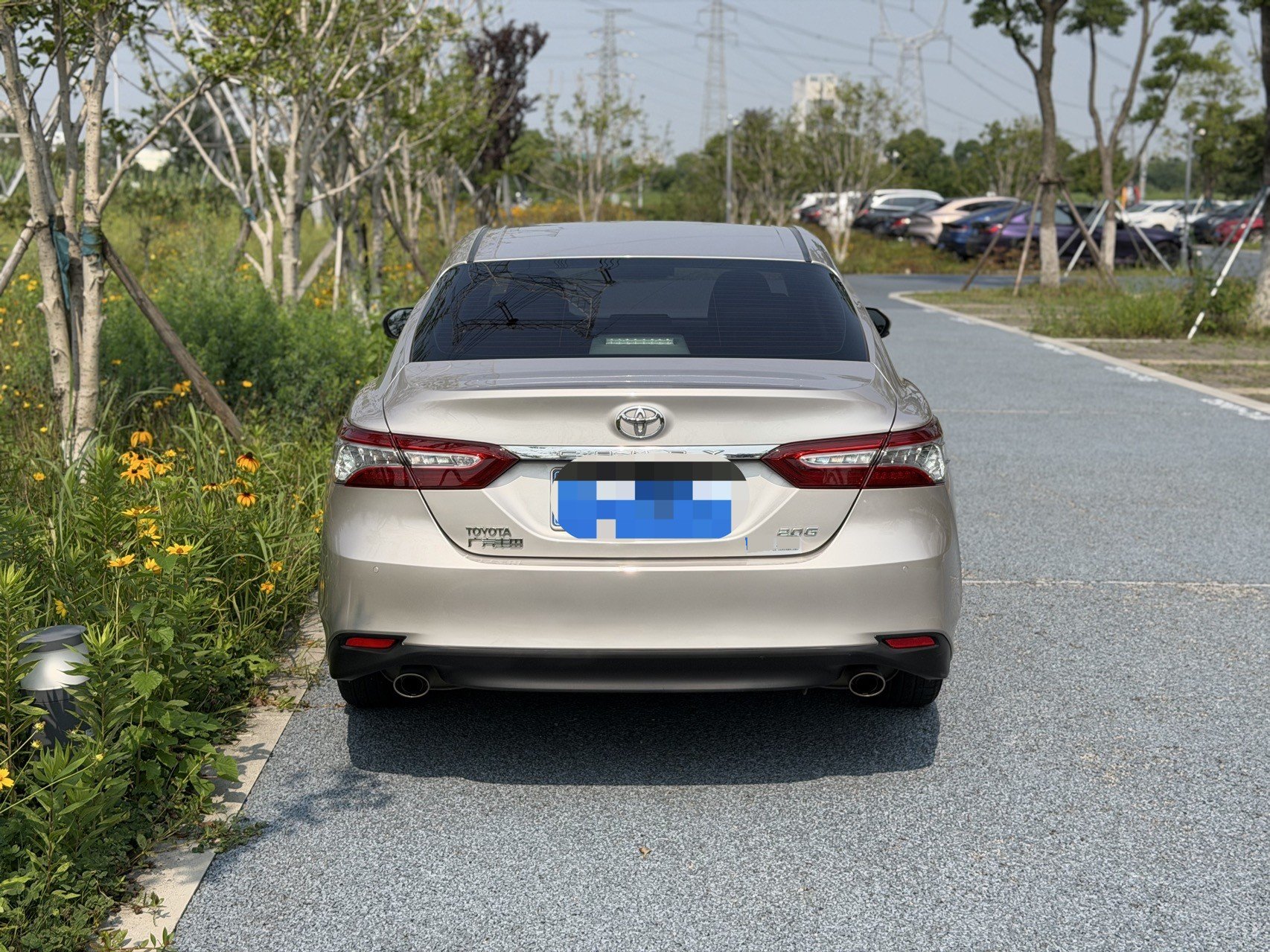 Toyota 2018 Camry 2.0G Luxury