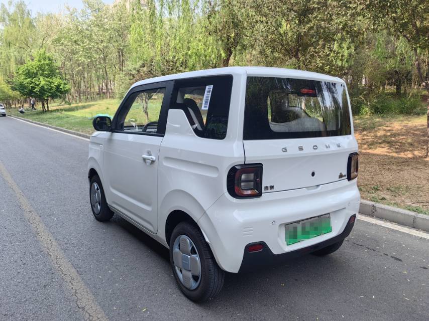 Geely 2024 Panda Mini 200km Endurance Bear