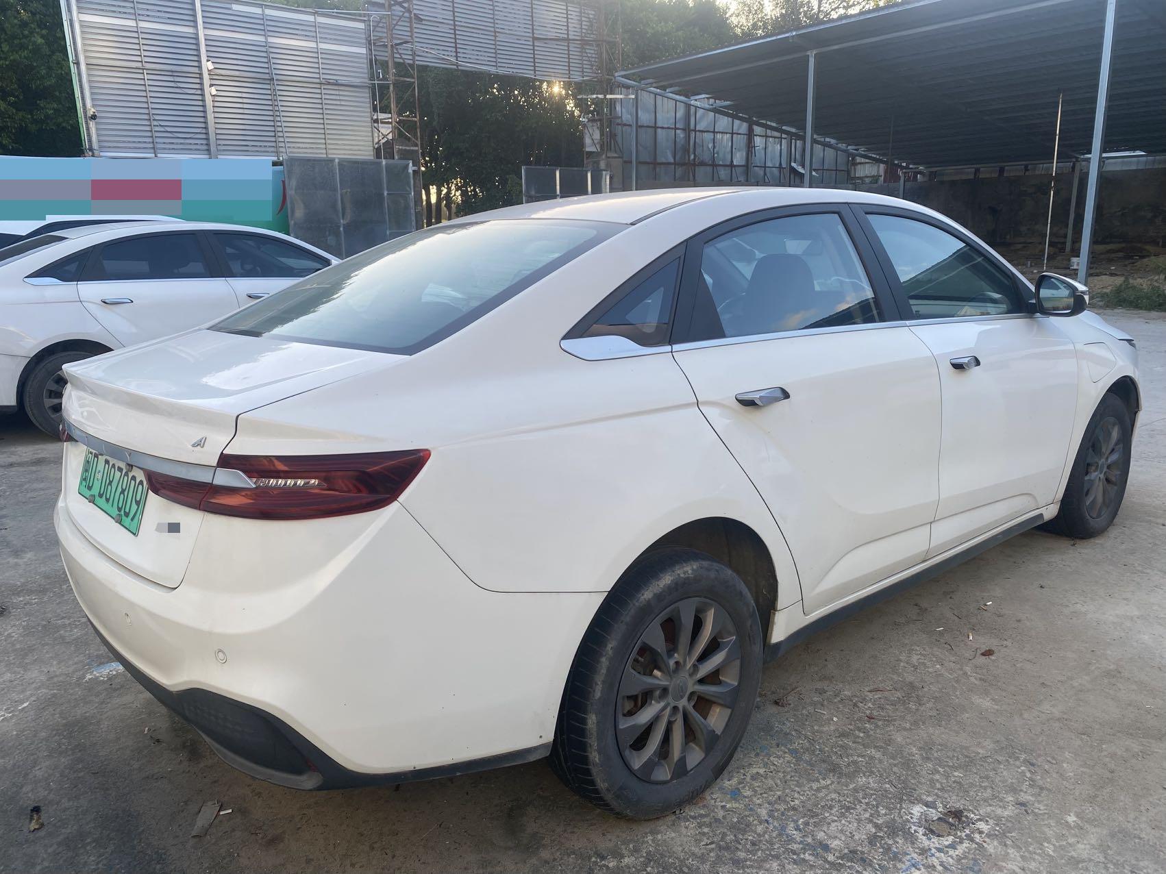 Geely 2019 Emgrand EV500 Elite Standard Range