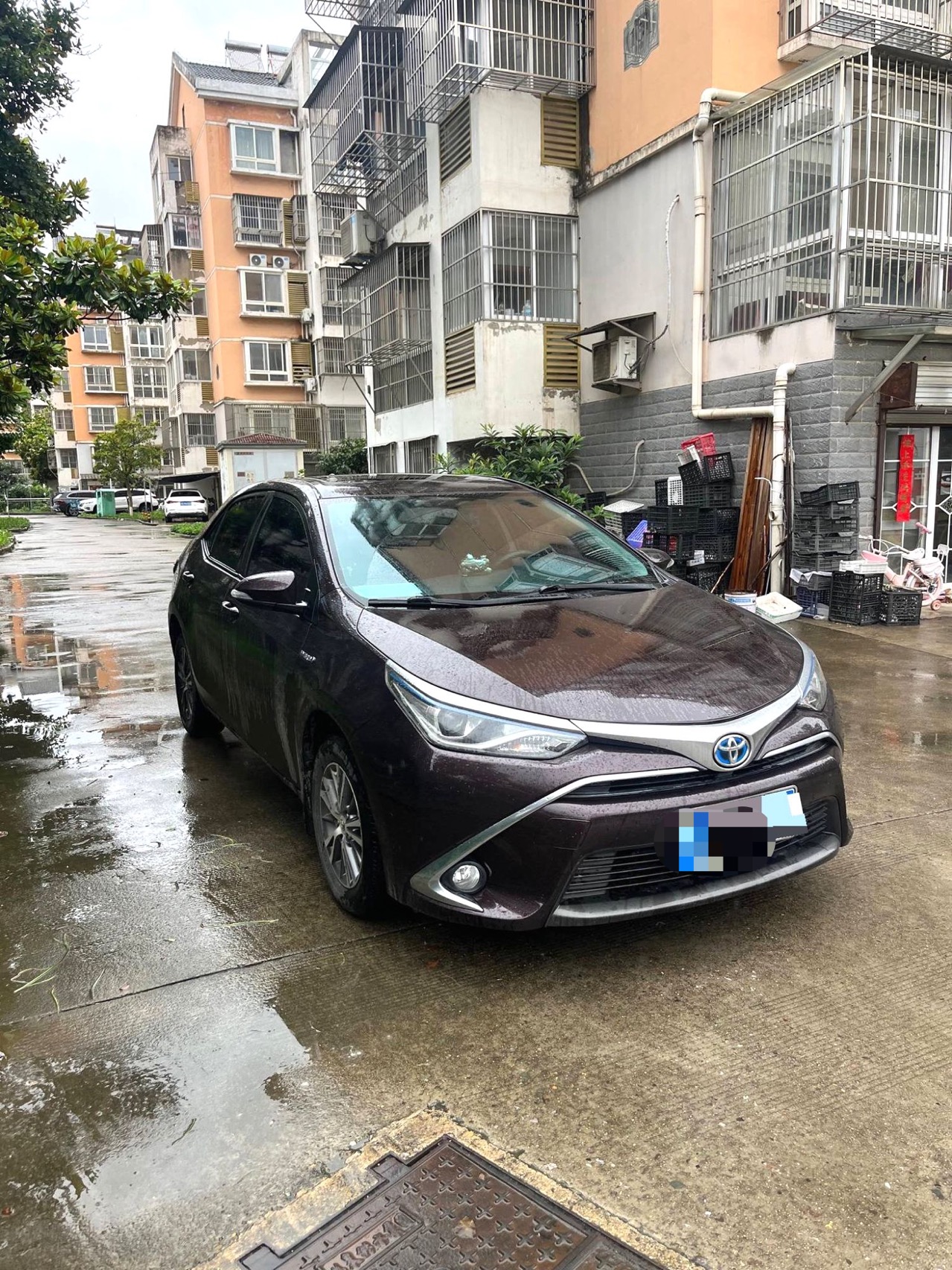 Toyota 2016 Levin Twin Engine 1.8H CVT GS Elite Sunroof Edition