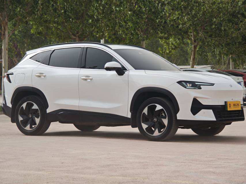 JETOUR 2024 Shanhai L6 1.5TD PRO