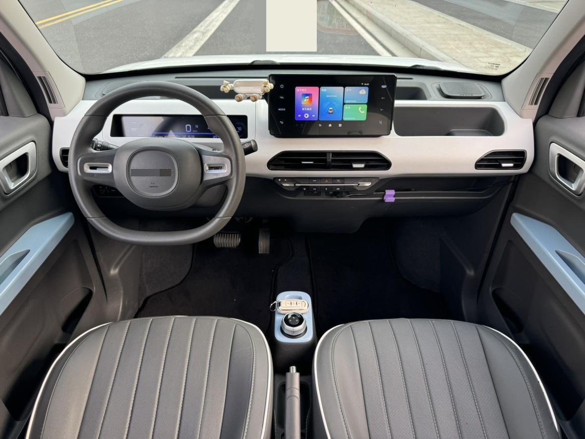 Geely 2023 Panda Mini 200km Endurance Bear