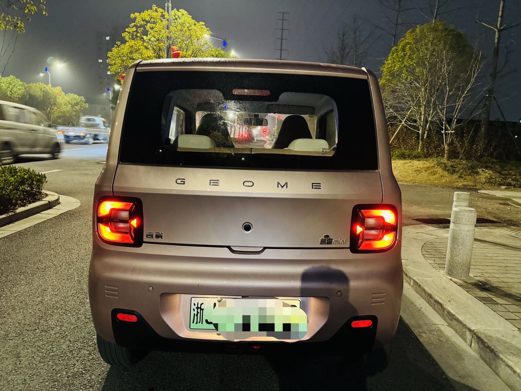 Geely 2023 Panda MINI New Year Edition Treasure Bear