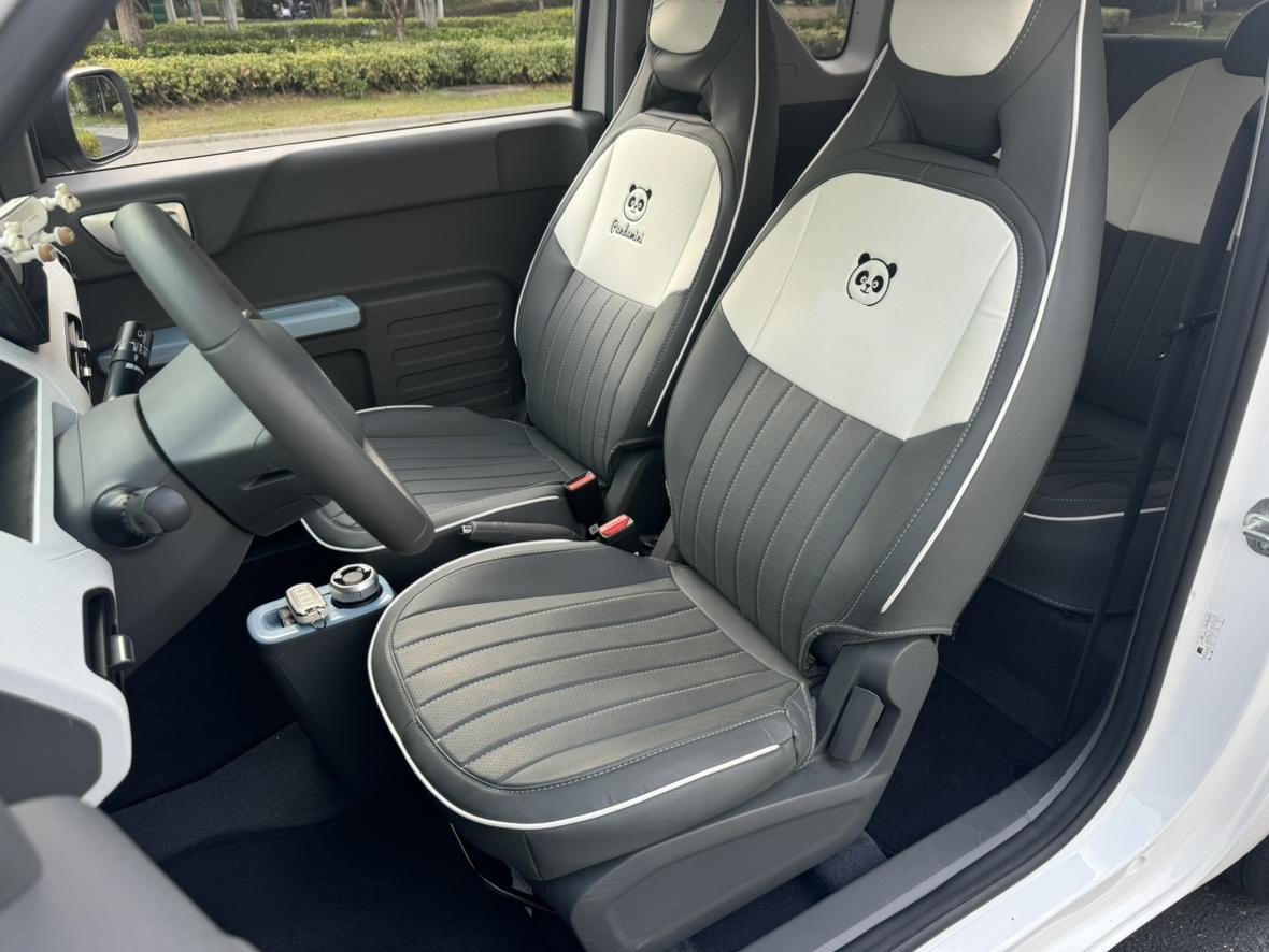 Geely 2023 Panda Mini 200km Endurance Bear