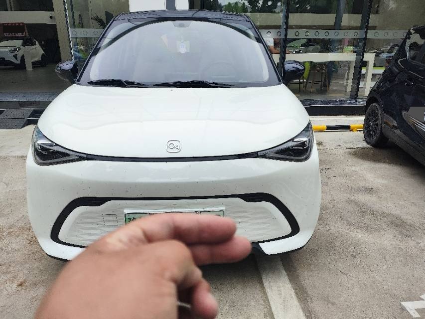 奇瑞 2025款 QQ多米 305km 舒享型