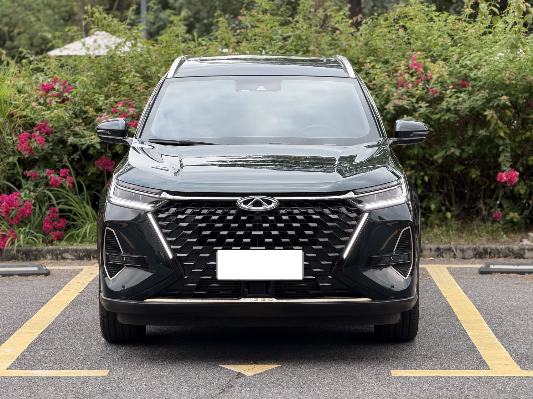 奇瑞 2022款 瑞虎8 PRO 1.6T 290T 两驱风暴版5座