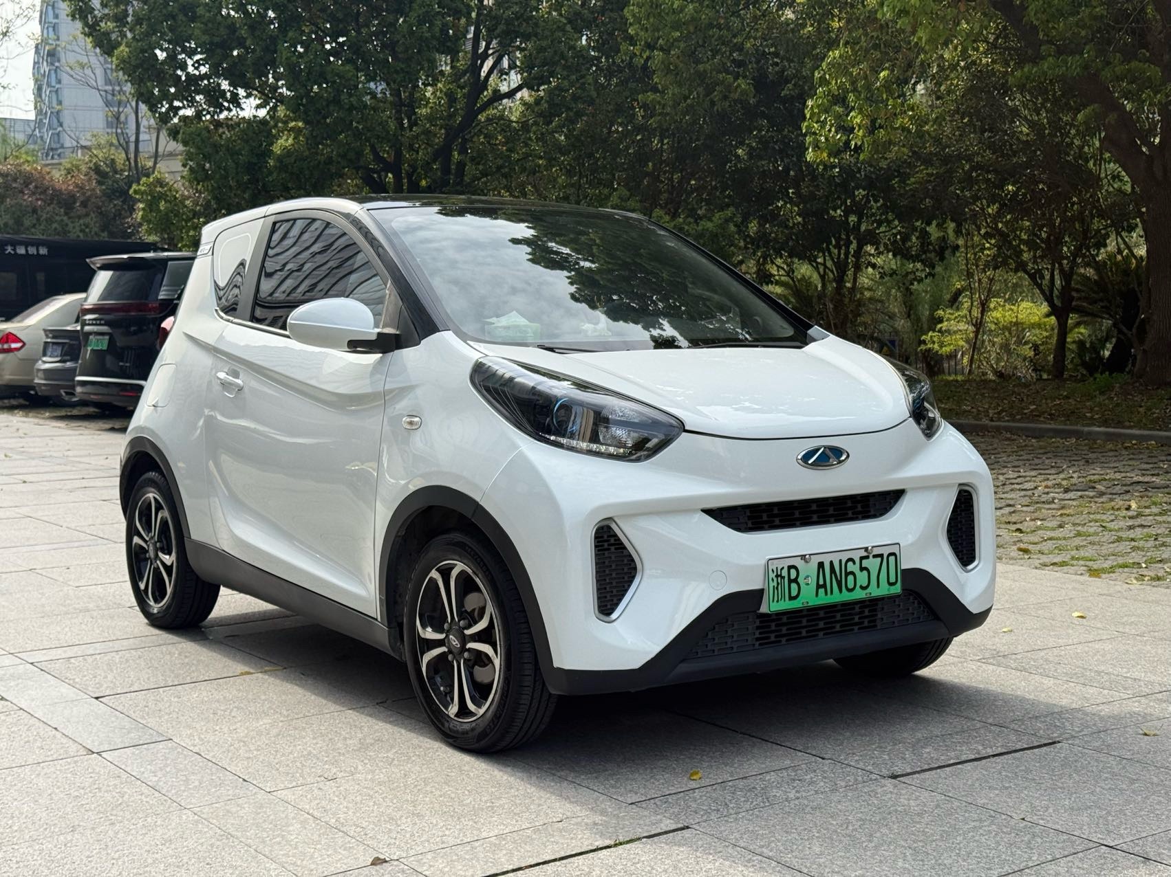 Chery 2021 eQ1 150,000 Ant Powder Edition Ant Xuan Edition LFP