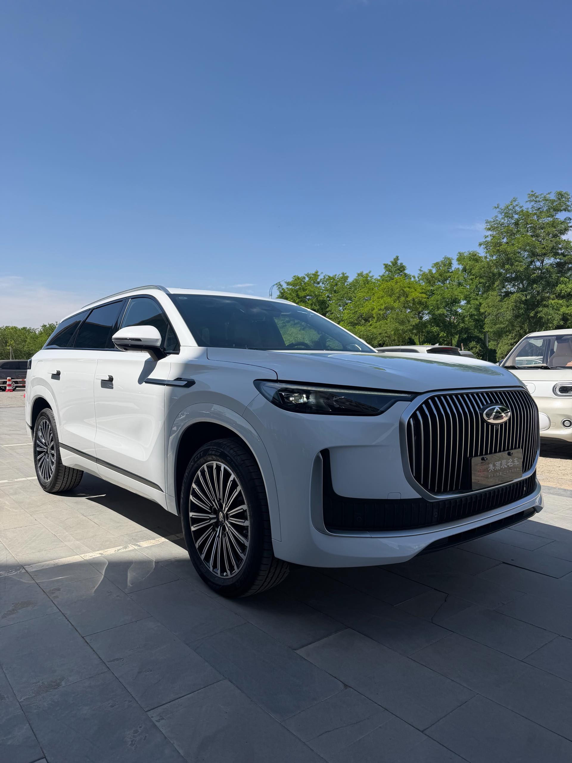 奇瑞 2025款 瑞虎9 2.0T 两驱豪享版5座