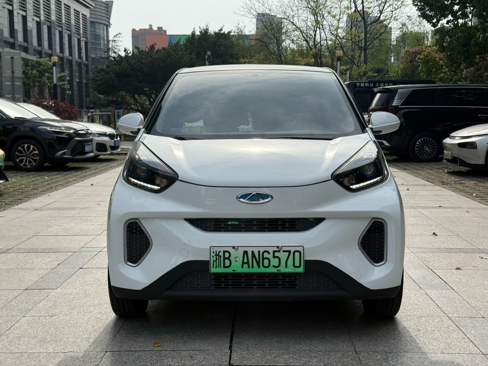 Chery 2021 eQ1 150,000 Ant Powder Edition Ant Xuan Edition LFP