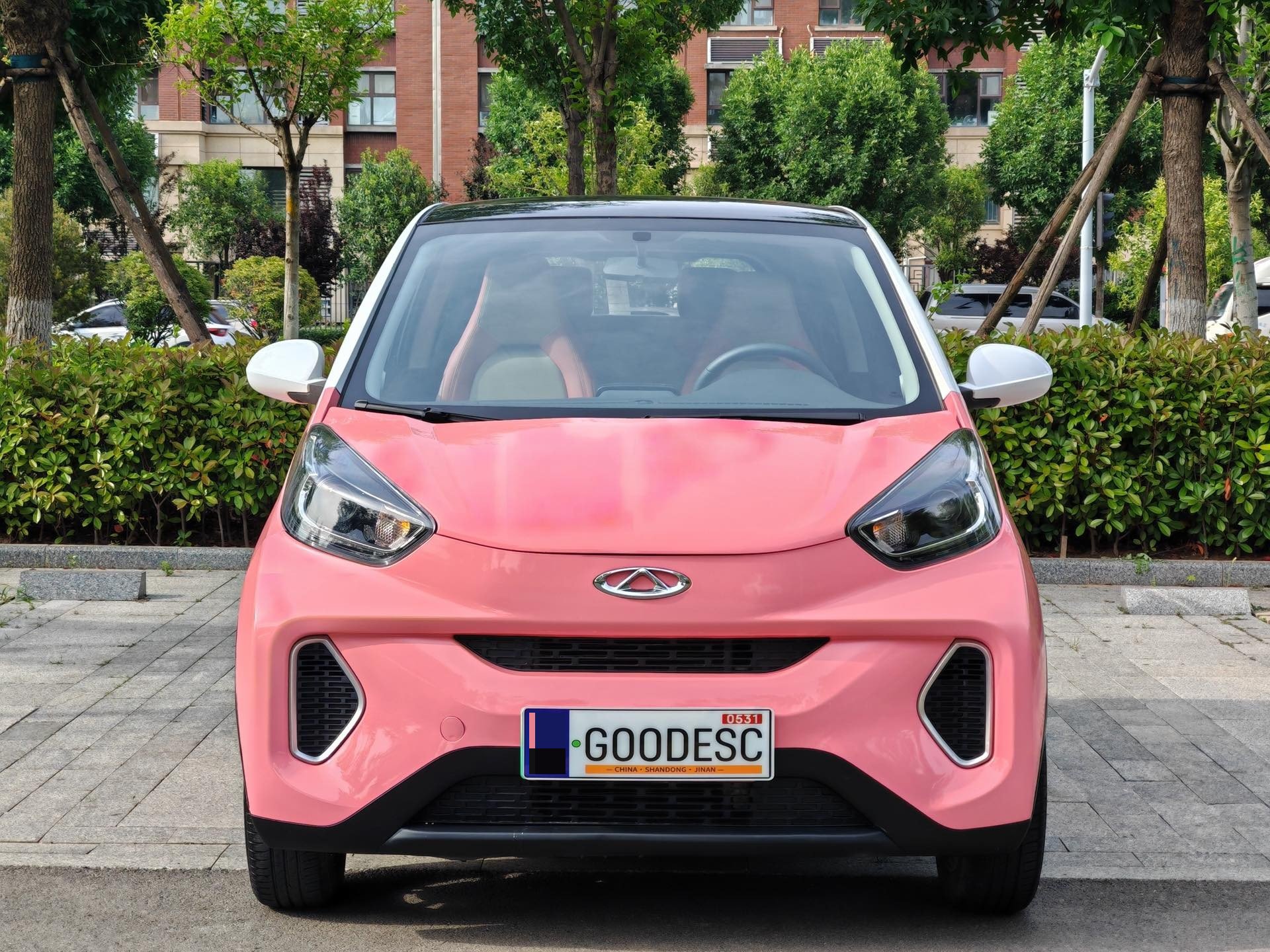 Chery 2021 eQ1 200,000 Ant Powder Edition Caiqi Edition Ternary Lithium 301km