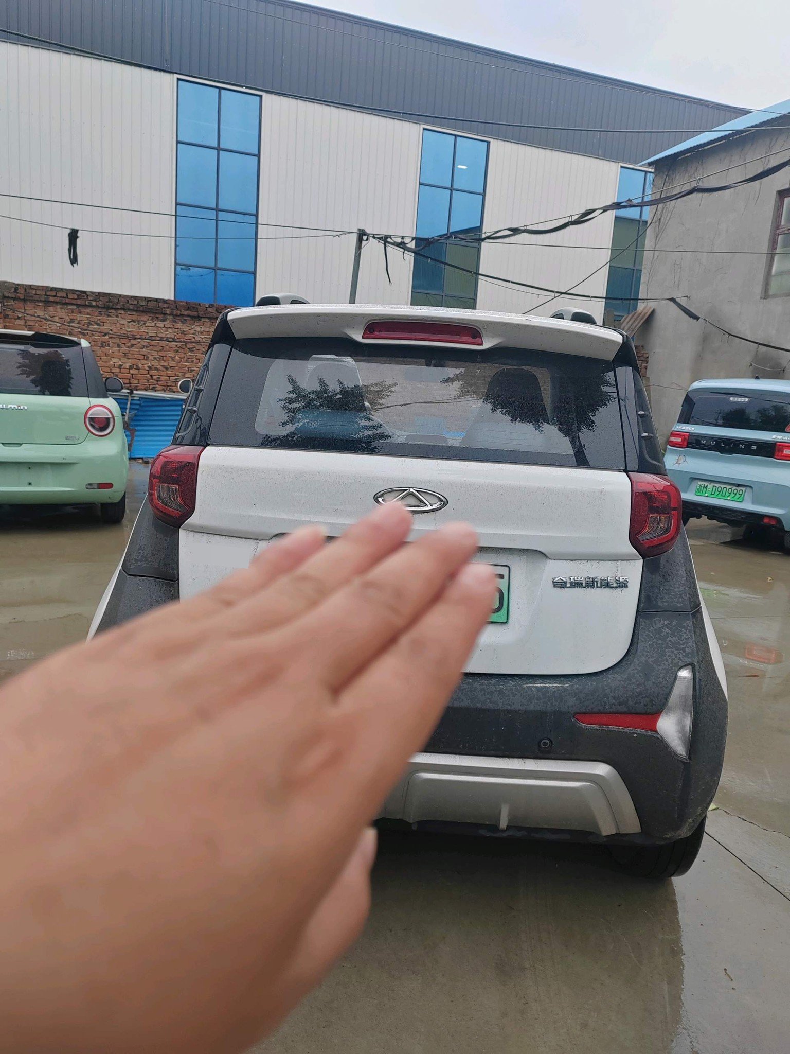 Chery 2021 eQ1 150,000 Ant Powder Queen Edition LFP