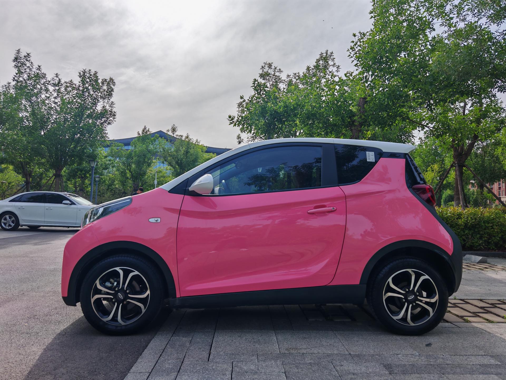 Chery 2021 eQ1 200,000 Ant Powder Edition Caiqi Edition Ternary Lithium 301km