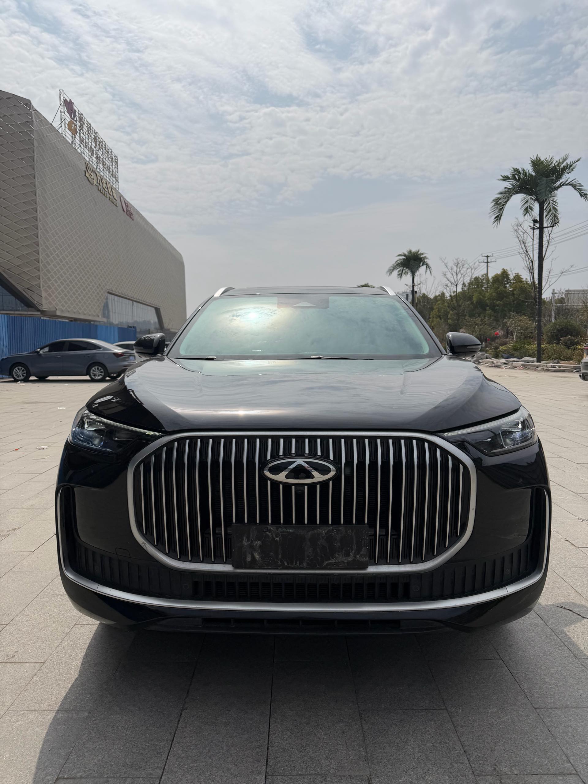 奇瑞 2025款 瑞虎9 C-DM 1.5T 106KM超享版5座